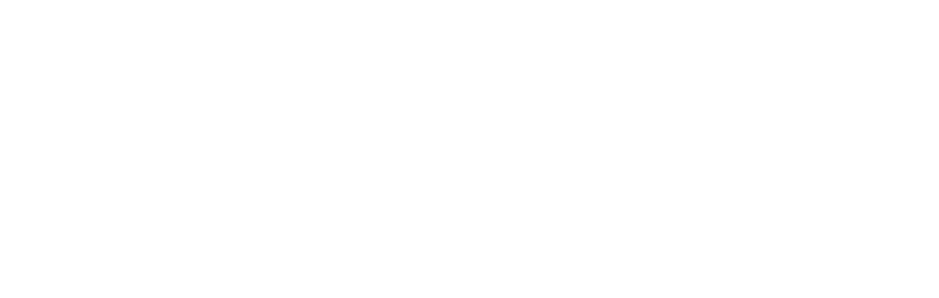 Banu Nasr